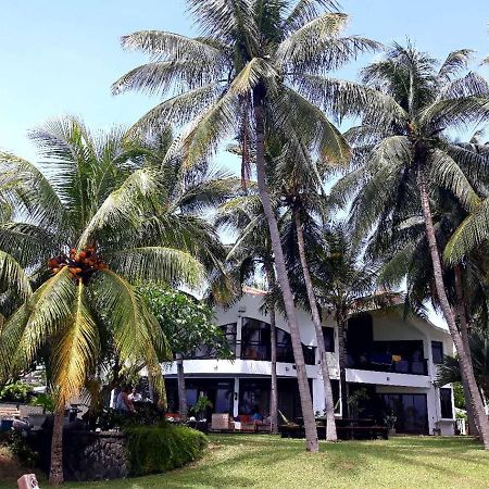 La Maison De La Plage - Guest House Albion Exterior photo