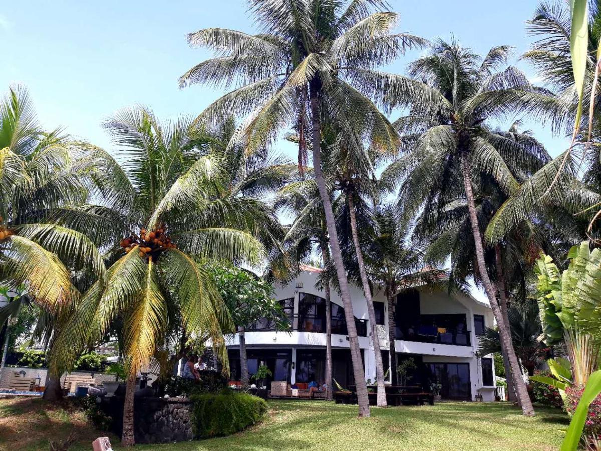 La Maison De La Plage - Guest House Albion Exterior photo